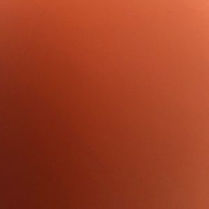 Meet your Posher, Devyn